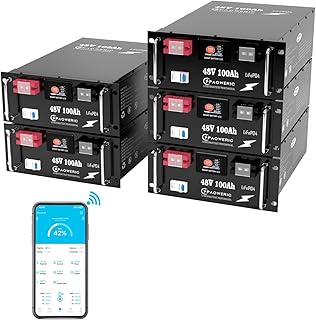 48V 100Ah(5 Pack) LiFePO4 Lithium Battery with 200A BMS, Max. 10.240KW Power,10000+ Cycles, Suit for - B0FSZKZ9RG