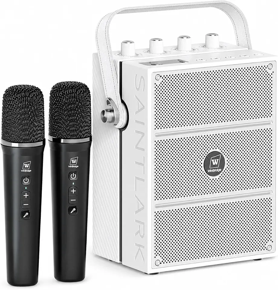 100W Bluetooth Speaker with 2 Wireless Microphones S99 - B0GQY99CGG