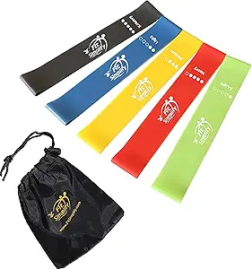 Fit Simplify Resistance Loop Exercise Bands with Instruction Guide and Carry Bag, Set of 5 - B01AVDVHTI