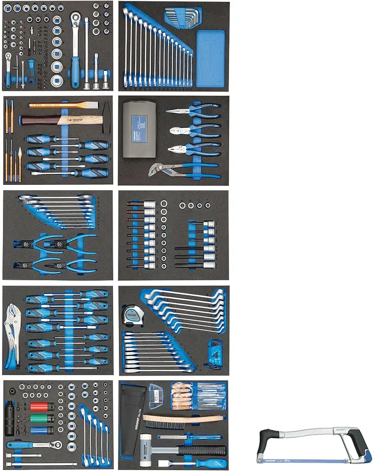 GEDORE TS-308 Tool Assortment in Check Tool Modules 308-Piece - B01CFGZ34E