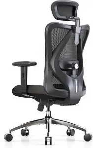 SIHOO M18 Ergonomic Office Chair, Mesh Back Desk Chair with Headrest - B07GNDDNMW