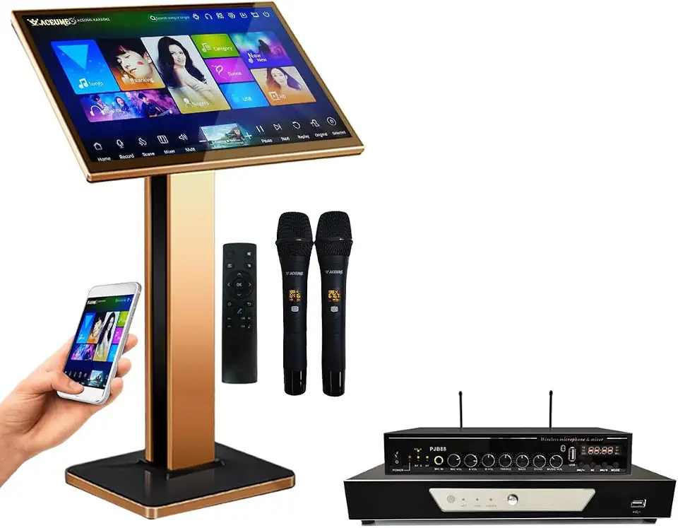 TSRV81M-6TB HDD 112K Chinese(Mandarin DVD +Cantonese DVD)+English DVD +Vienamese DVD Songs 22" Touch Screen Karaoke - B0919C5D73