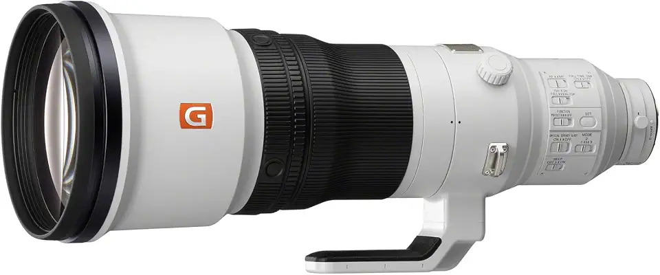 FE 600mm F4 GM Super Telephoto Lens (SEL600F40GM) - B07SZVGKMD