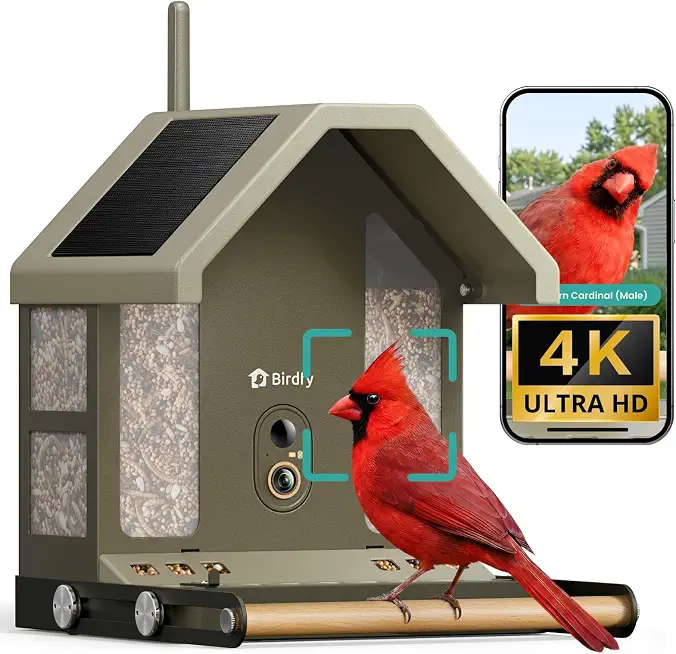 Smart Bird Feeder with Camera 4K, 2.4/5GHz Wi-Fi (Birdfy Metal 2 4K) - B0GSR463MG