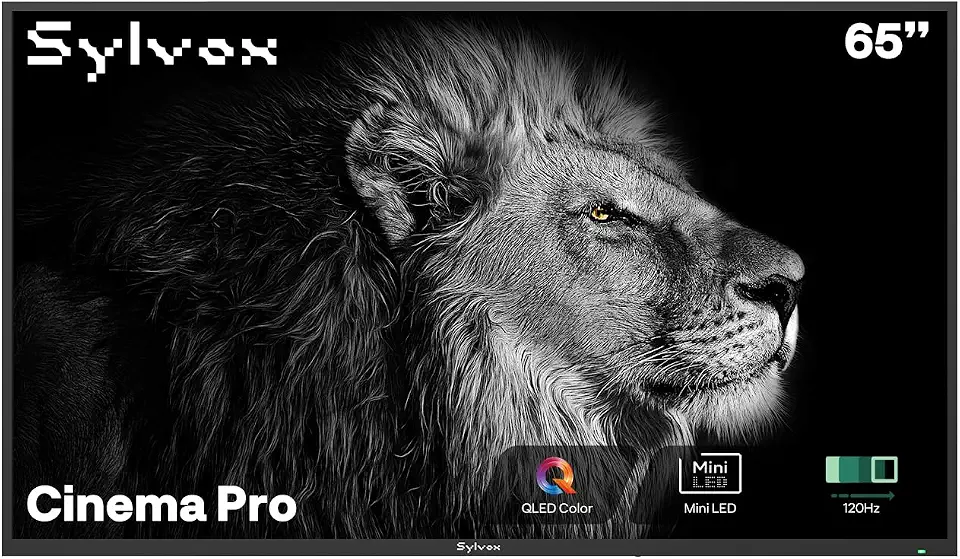 SYLVOX Mini-LED QLED Outdoor TV, 65 inch Full Sun Outdoor TV 3500 nits - B0F6MPDNTX